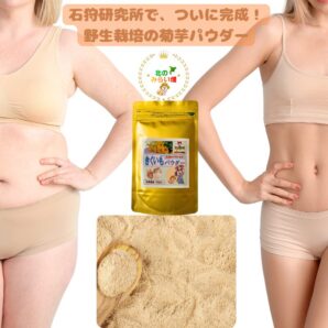 【女性に大人気！】 北海道 自然栽培 黄金パウダー 焙煎で美味しい かけるだけダイエット 大地のミネラルパワー 100g きくいも パウダー 粉末 キクイモ 粉末 有機 スーパーフード 菊芋パウダー 菊芋スープ 菊芋 ポタージュ 無農薬 ヨーグルト 菊芋茶 国産