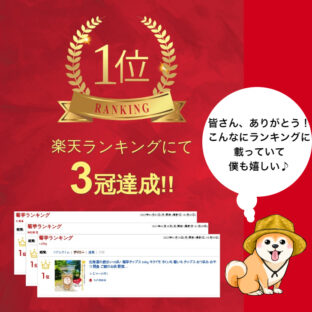 非公開: 文字装飾