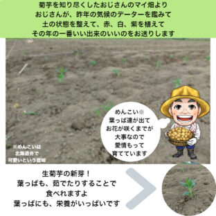 久しぶりの投稿＆お店の原点の野生栽培