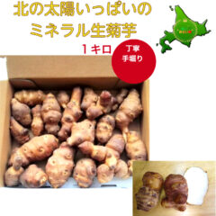 北の未来畑で大人気の生菊芋について