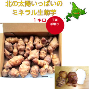 北の未来畑で大人気の生菊芋について