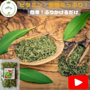 行者にんにく　乾燥チップ