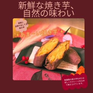 お客様からのリクエストの焼き芋　札幌名物【焼き芋テラス出店のみらい畑】石狩の石窯焼き芋の店舗から直送便 ホクホクというより、蜜度が高いので、しっとり＆艶とテリが特徴です！完全無農薬で野生栽培の甘さ