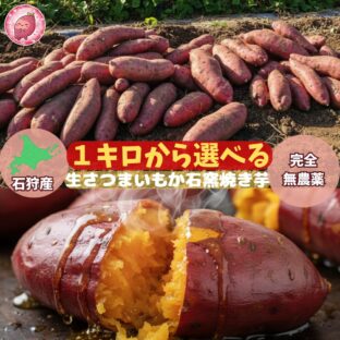 【2025.４月末より再販します】 ちょっとだけ訳あり 新！野生栽培のパワーで、甘くて美味しい！生さつまいも　実店舗でも販売中です！さつまいも