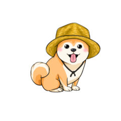 北のみらい畑・石狩の畑を動画紹介