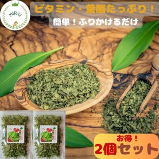 楽天ランキングで人気です！北海道のスーパーフード 美活 腸活 アイヌネギ瞬間フリーズ