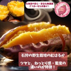 ただいま、【さっぽろ焼き芋テラス】In中島公園　出店中です♬