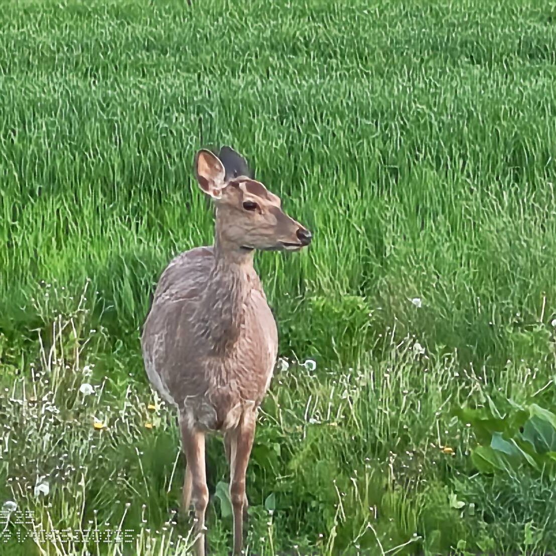 北海道のこだわり自然食とおやつ | 石狩のみらい畑