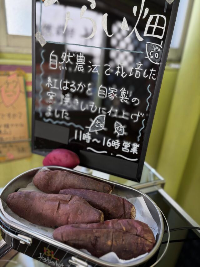 べにはるか芋苗1000本M（みらい畑）です☆ショップスも開店！ 石狩のみらい畑 (@mirai.batake) • Instagram photos and videos